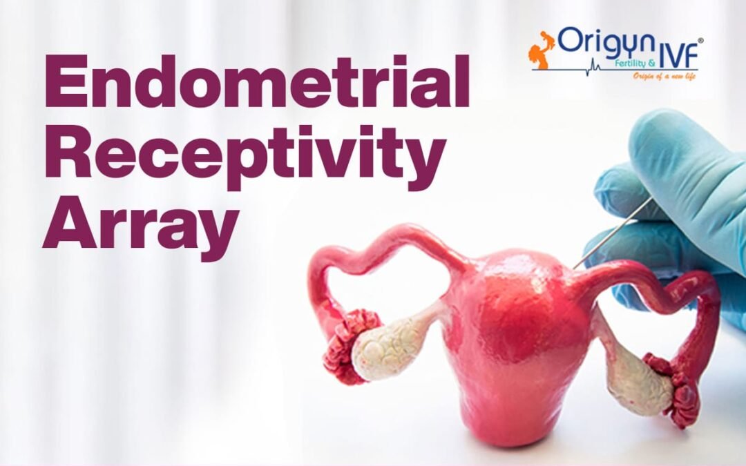 How the Endometrial Receptivity Array Improves IVF Outcomes