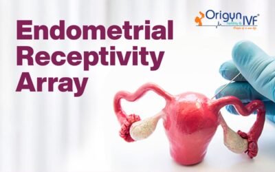 How the Endometrial Receptivity Array Improves IVF Outcomes