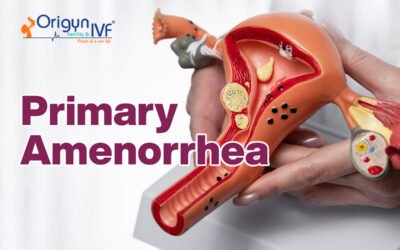 Primary Amenorrhea: Pathophysiology, Causes, and Impact on Health