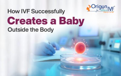 How IVF Successfully Creates a Baby Outside the Body