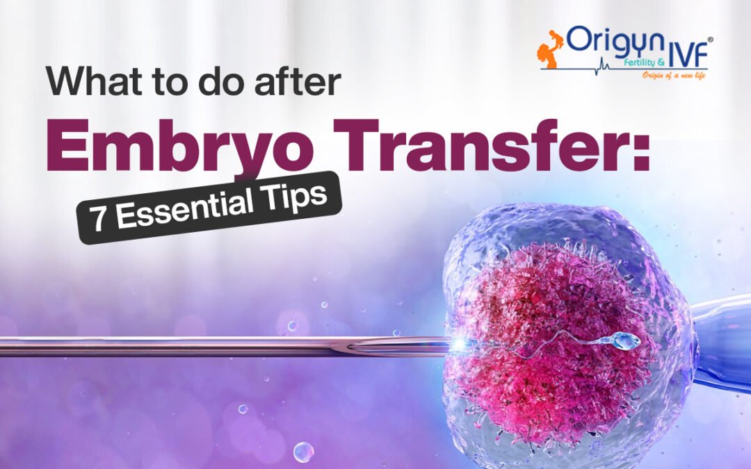 What to Do After Embryo Transfer: 7 Key Tips