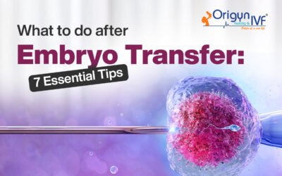 What to Do After Embryo Transfer: 7 Key Tips