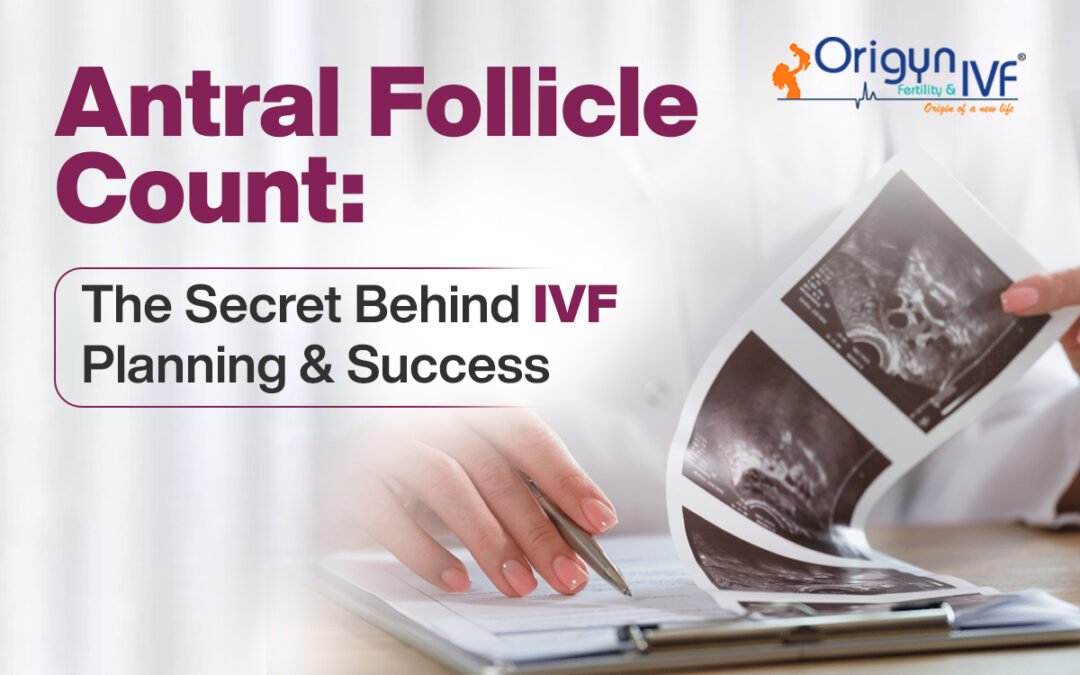 Antral Follicle Count: The Secret Behind IVF Planning & Success