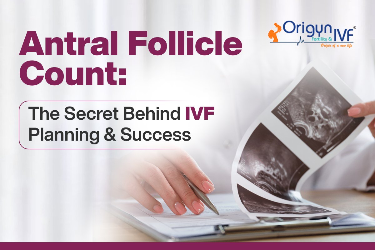 Antral Follicle Count