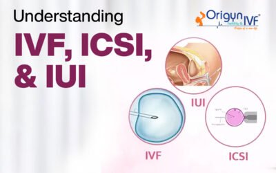 Key Difference Between IVF, ICSI and IUI: How to Choose One?