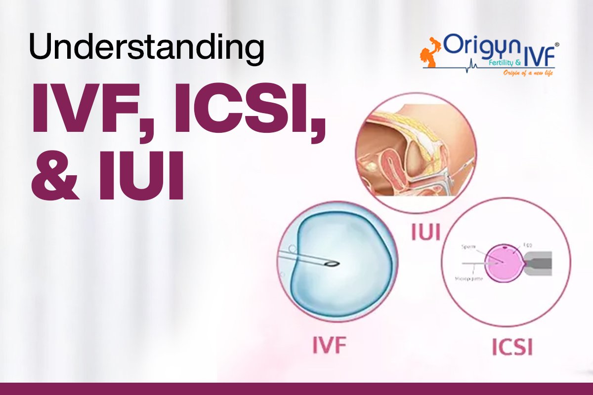 Difference Between IVF