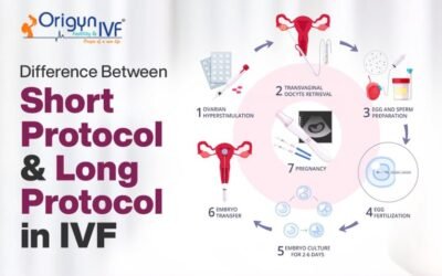 Effective Difference Between Short Protocol & Long Protocol in IVF