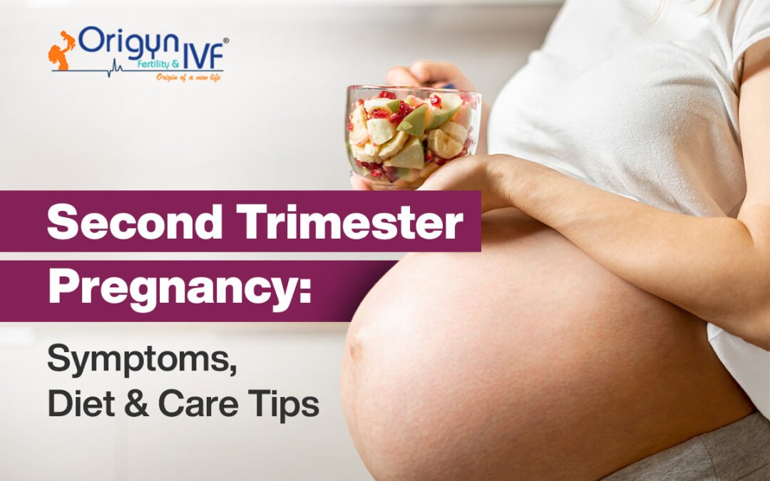 Second Trimester Pregnancy: Symptoms, Diet & Care Tips, 2025