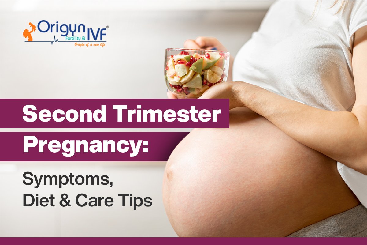Second Trimester Pregnancy