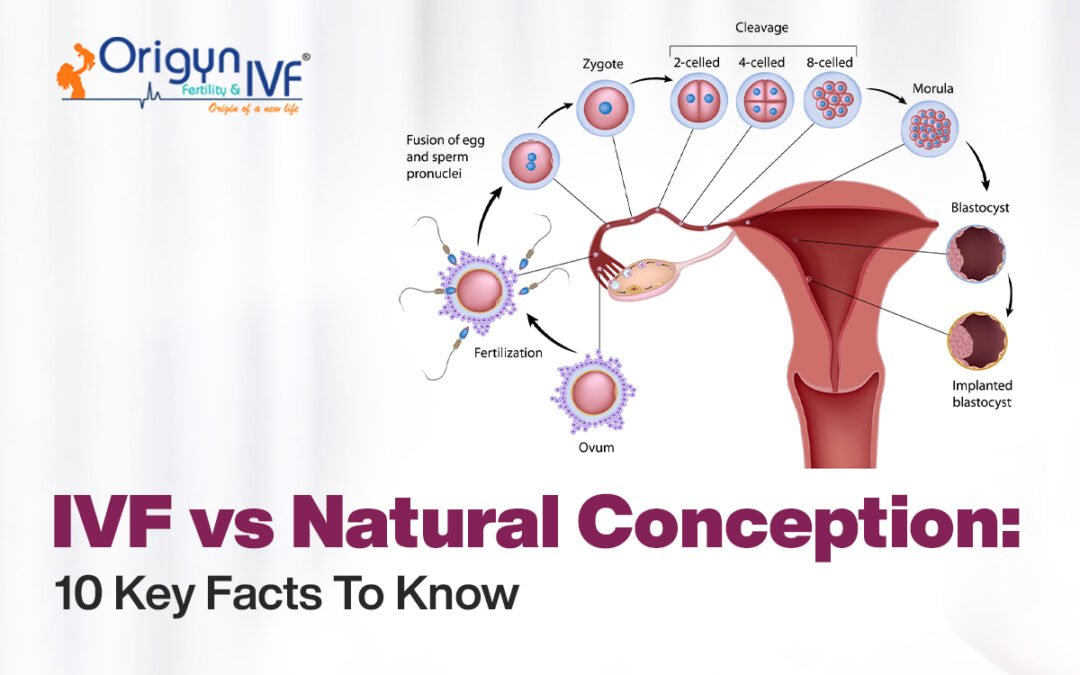 IVF vs Natural Conception: 10 Key Facts To Know