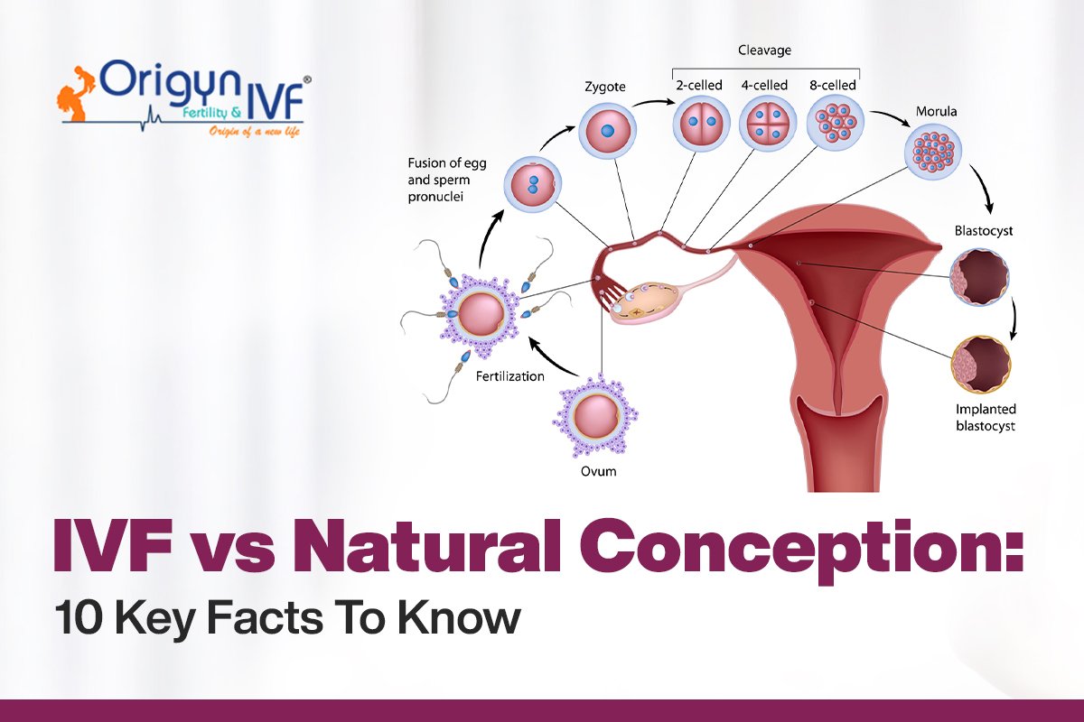 ivf vs natural conception